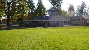 Elm Park field house